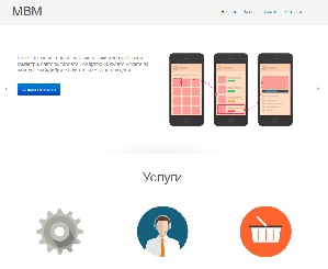MVM LTD